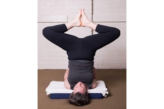 Women's Iyengar Yoga Intensive with Nicole Hills